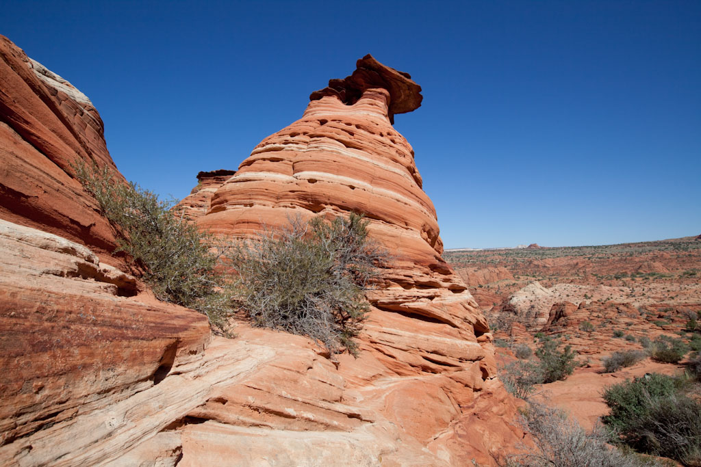 c0157739_17302865.jpg