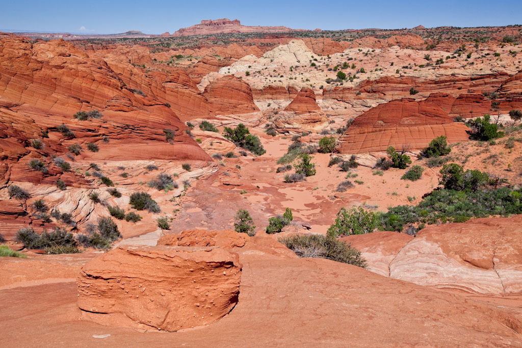 c0157739_17483016.jpg