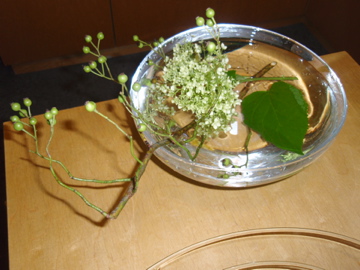 b0132442_17523427.jpg