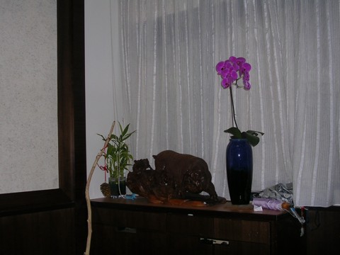 b0011345_199501.jpg