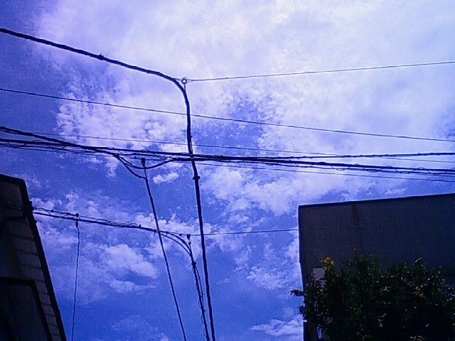 f0179947_132492.jpg