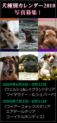 d0013149_10362678.jpg