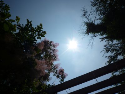 b0132950_14242796.jpg