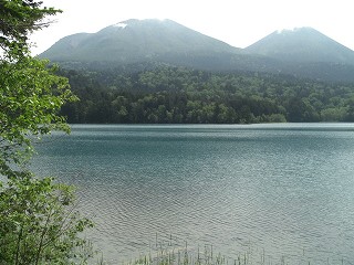 f0009451_8462446.jpg