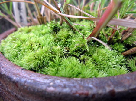 c0147952_0154855.jpg