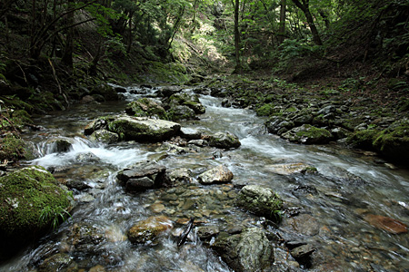 e0113053_04426.jpg