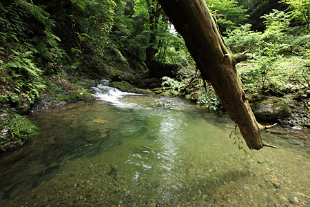 e0113053_044679.jpg