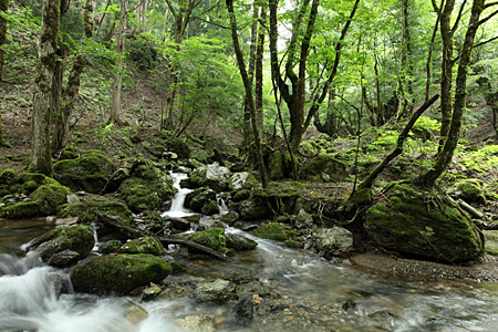 e0113053_05519.jpg