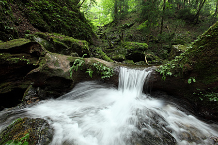 e0113053_062275.jpg