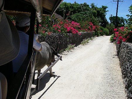 a0056654_23224868.jpg
