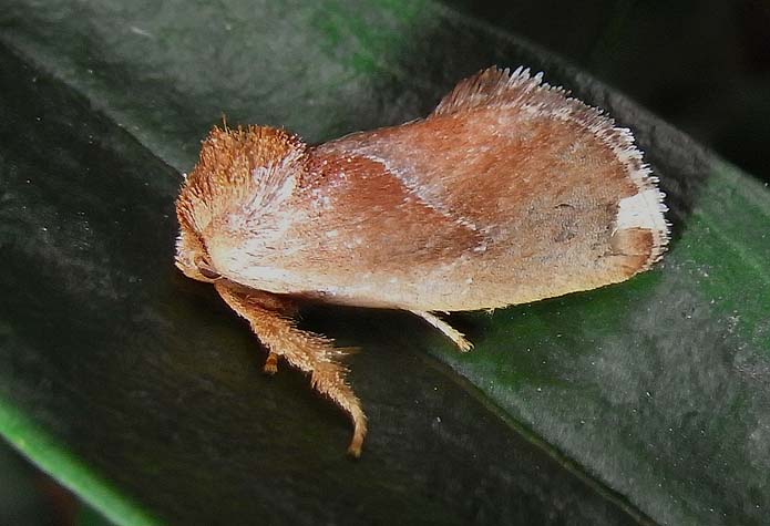 d0146854_21203856.jpg