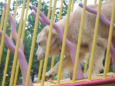 c0097558_2253128.jpg
