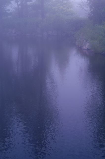 b0168859_21132492.jpg