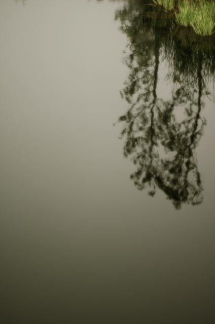 b0168859_21135331.jpg