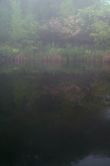 b0168859_21141412.jpg