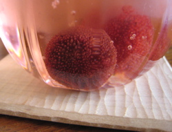 c0153259_20232942.jpg
