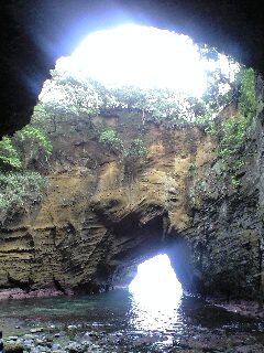 f0082659_95093.jpg