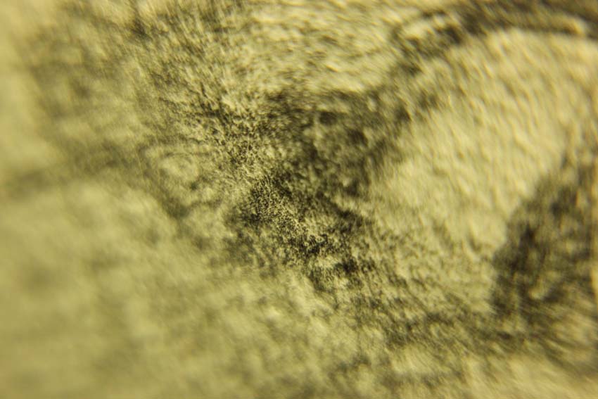 b0149365_4473536.jpg