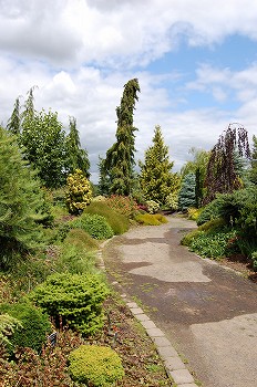 e0128367_1143084.jpg