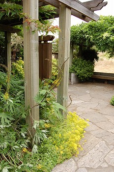 e0128367_1145255.jpg
