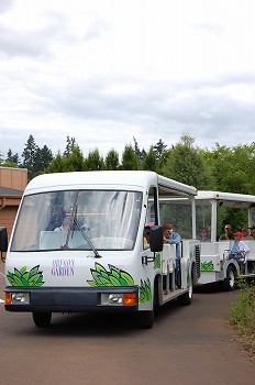 e0128367_1214615.jpg