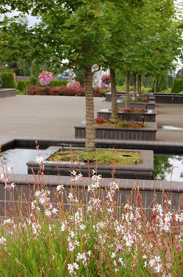 e0128367_1223024.jpg