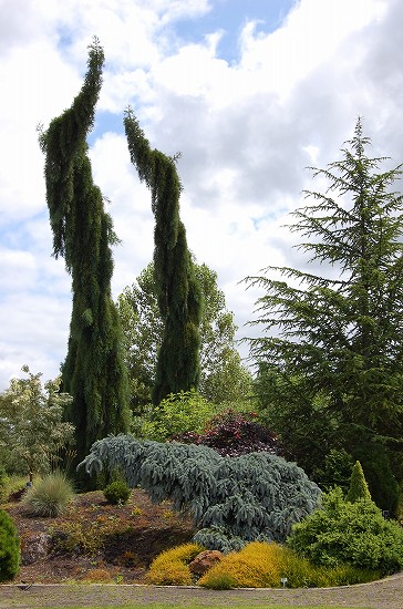 e0128367_1231048.jpg