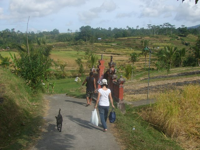 d0083068_15502052.jpg