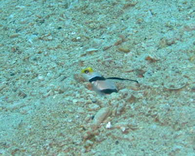 b0033573_21303367.jpg