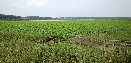 a0091680_135064.jpg