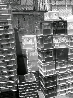 f0100480_21524010.jpg