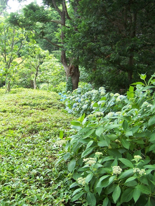 c0198781_13584046.jpg