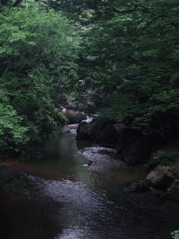 d0098183_1115357.jpg