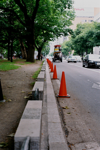 e0051186_2015598.jpg