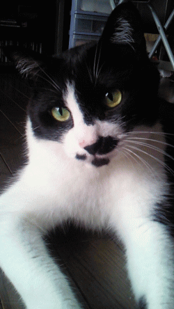 d0100192_2231298.gif
