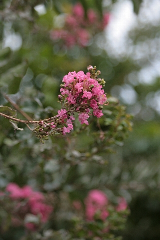 d0133693_23344129.jpg