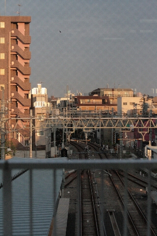 d0133693_23345714.jpg