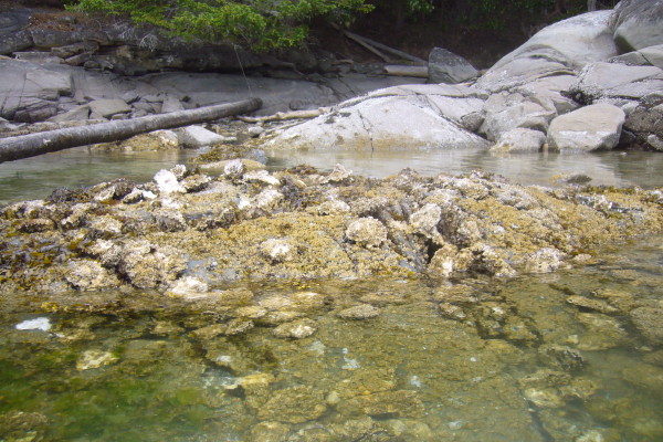 e0122193_618856.jpg