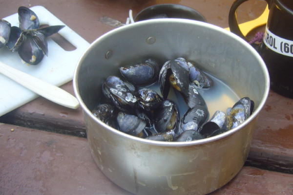 e0122193_619287.jpg