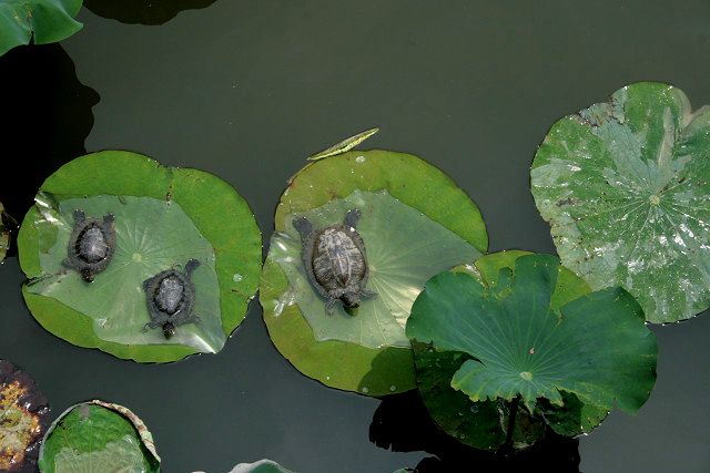 f0083400_20431747.jpg