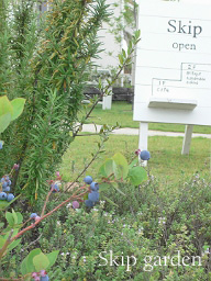 e0024402_2338552.jpg
