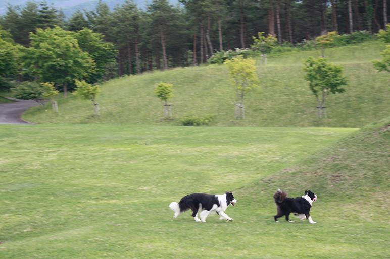 f0034602_17515361.jpg