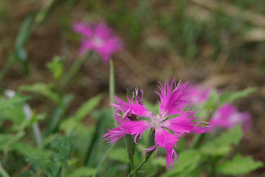 c0187503_1812216.jpg