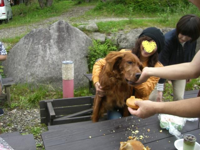 a0134004_16464918.jpg