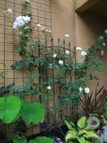 f0065604_22335678.jpg
