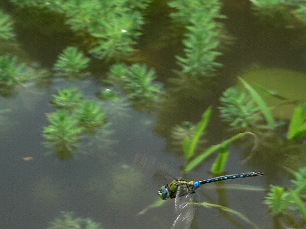 e0002314_18424211.jpg