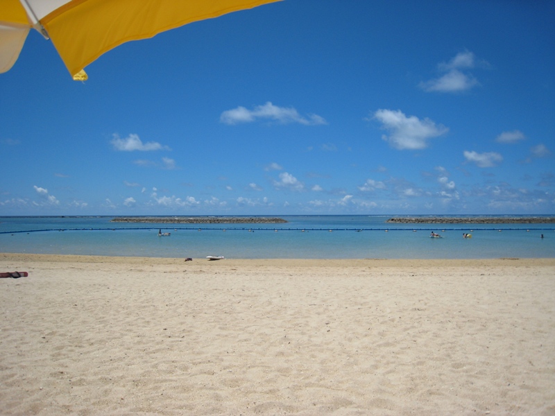 d0072521_3364586.jpg