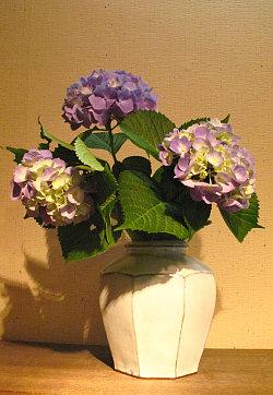 f0197821_15522392.jpg