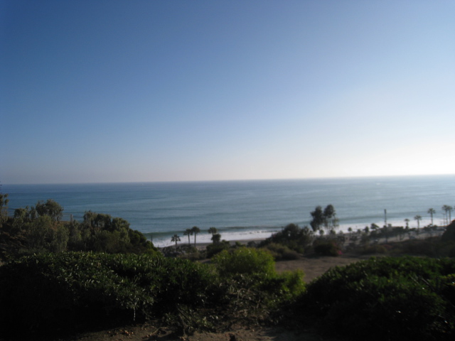 c0159828_1431643.jpg