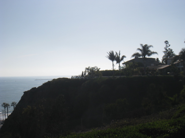c0159828_1484278.jpg